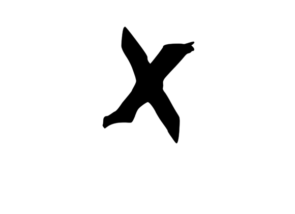 Strategic Branding with Spooky Rough Brushed Mono X
